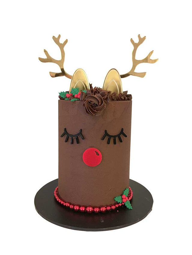 Reindeer Christmas Ornament Cake Decorating Set