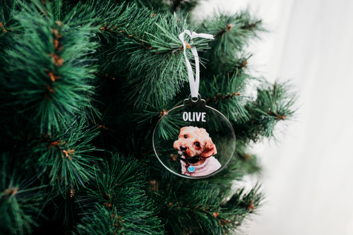 Pet Christmas Ornament